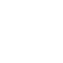 AVSI