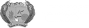 Município